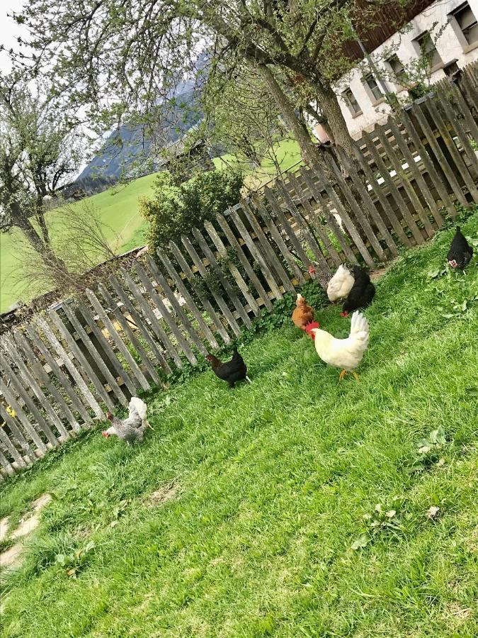 Bio Schartenhof Sankt Johann im Pongau Kültér fotó