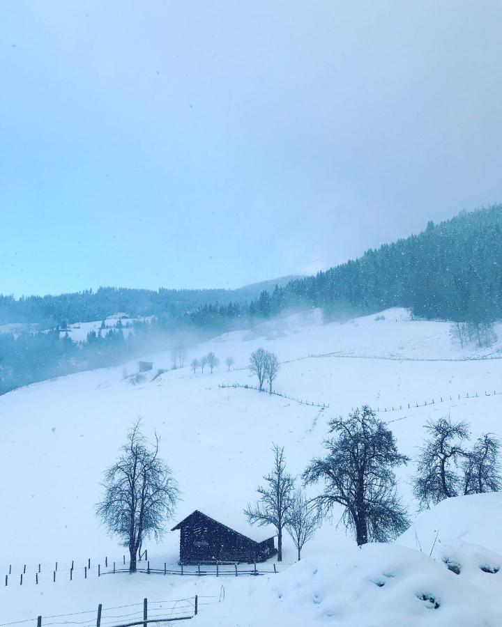 Bio Schartenhof Sankt Johann im Pongau Kültér fotó