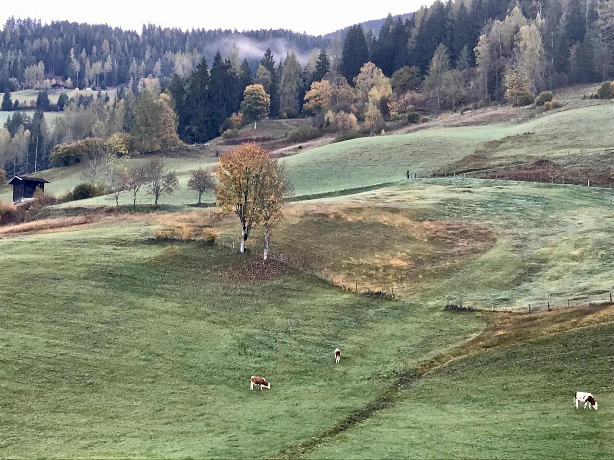 Bio Schartenhof Sankt Johann im Pongau Kültér fotó
